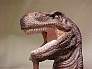 trexdin3.jpg